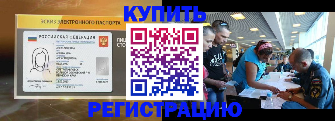 прописка для школы в Курчалом